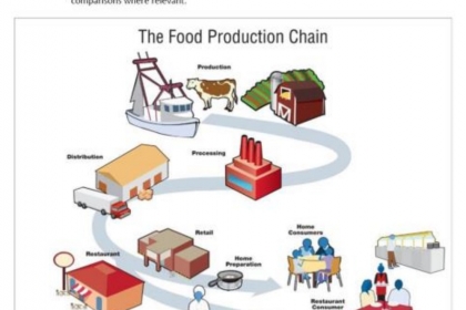 Bài mẫu Writing task 1 Band 8.0+ - Dạng Process Bài mẫu Writing task 1 Band 8.0+ - Dạng Process